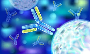 Immunology