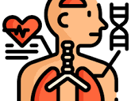 Physiology ( TİP İBÜ )