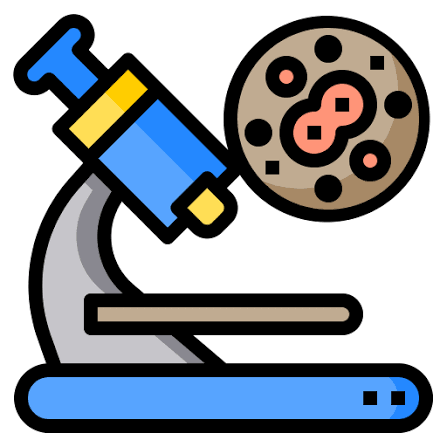 Microbiology ( TİP İBÜ )