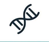 Genetics ( BGE İBÜ )