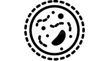 Microbiyology ( BGE 2 İBÜ )