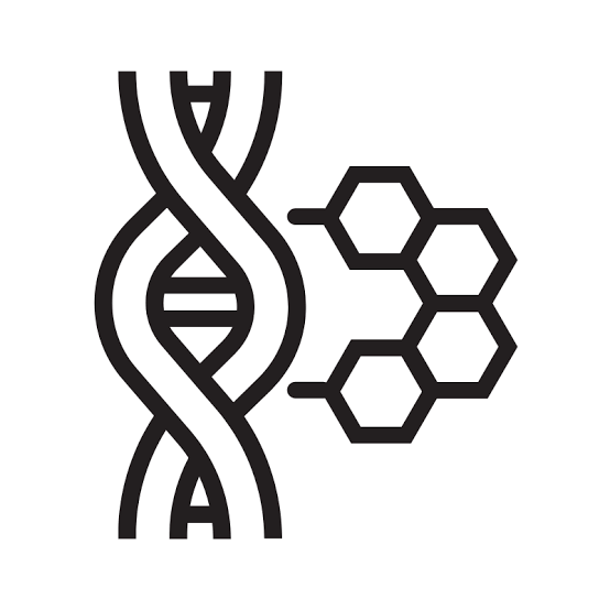 Molecular Biology ( BGE 3 İBÜ )