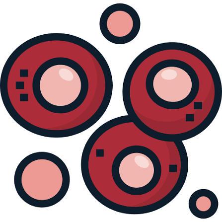 Stem Cells  ( BGE 3 İBÜ )