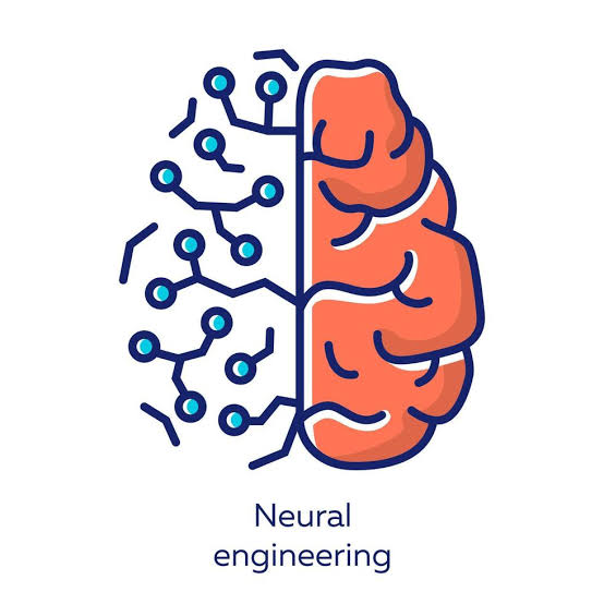 Neurobiology and Neuroengineering ( BGE 3 İBÜ )